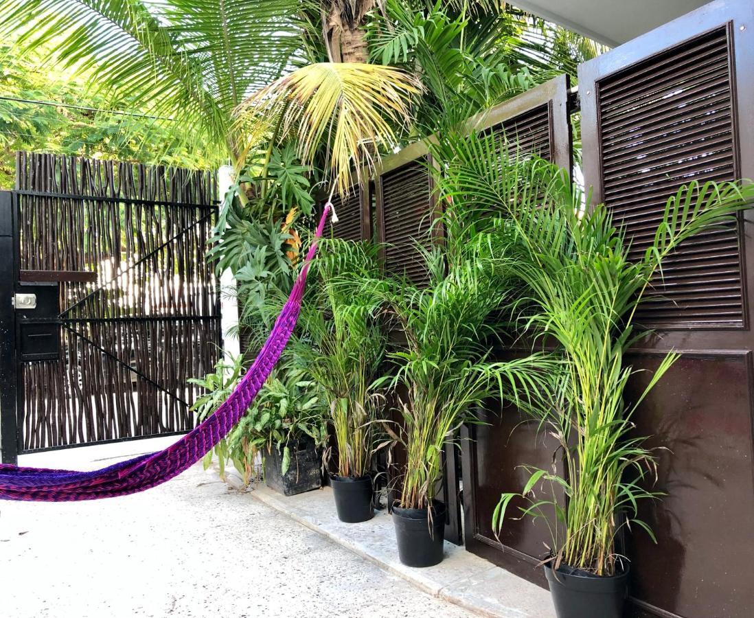 坎昆 Casa Tropical酒店 外观 照片